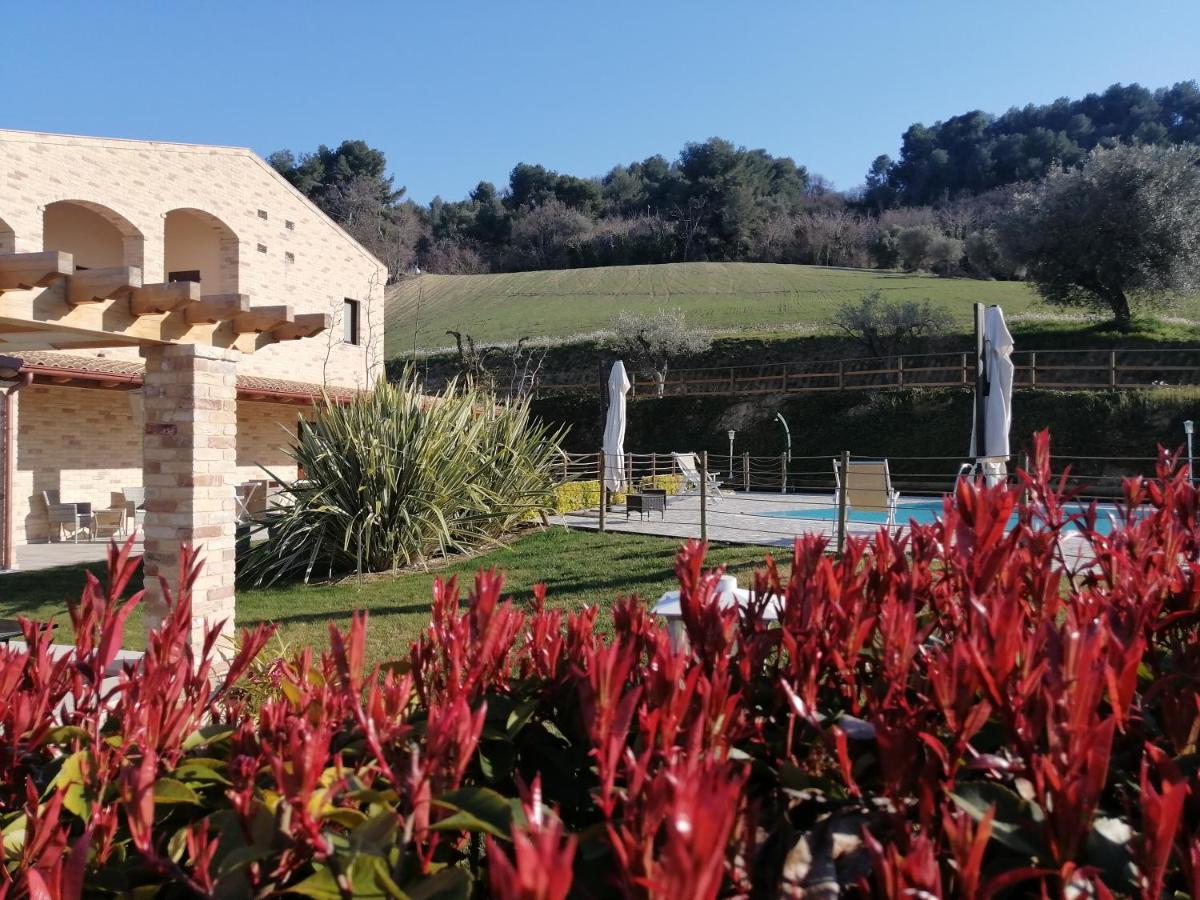 B&B Casalfarano Cupra Marittima Εξωτερικό φωτογραφία