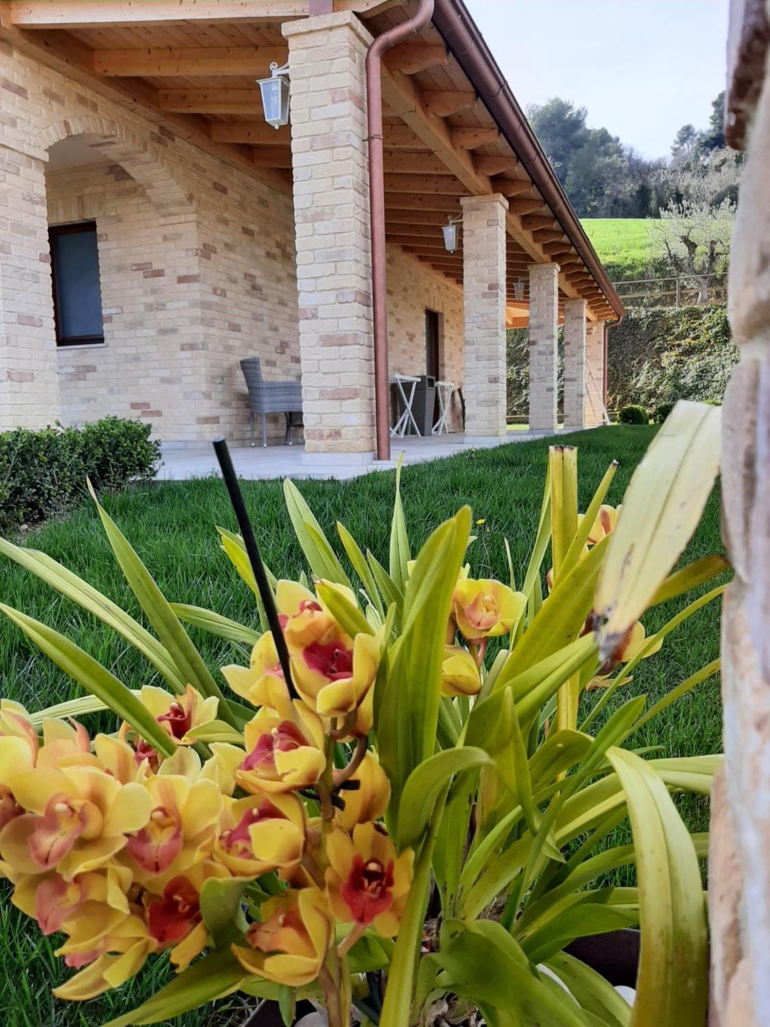 B&B Casalfarano Cupra Marittima Εξωτερικό φωτογραφία
