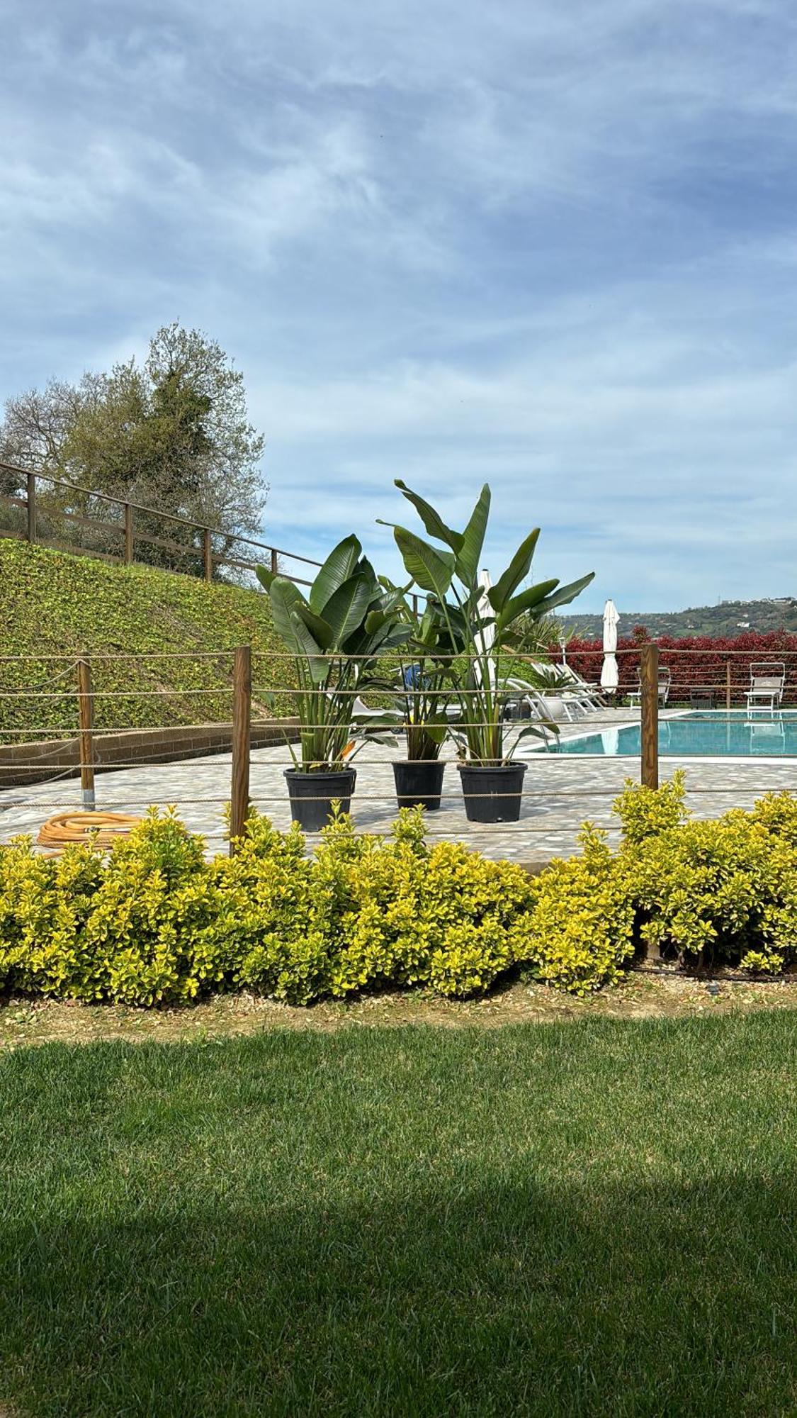 B&B Casalfarano Cupra Marittima Εξωτερικό φωτογραφία